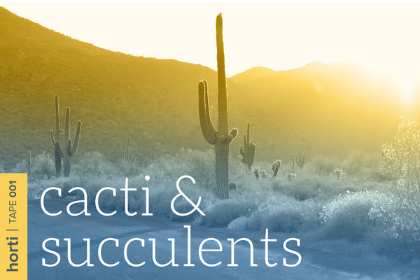 Tape 001: Cacti & Succulents