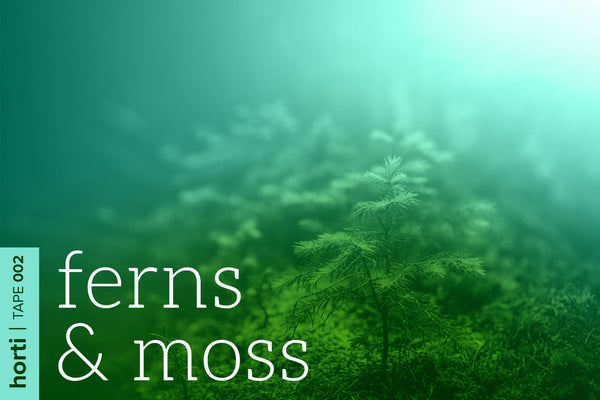 Tape 002: Ferns & Moss