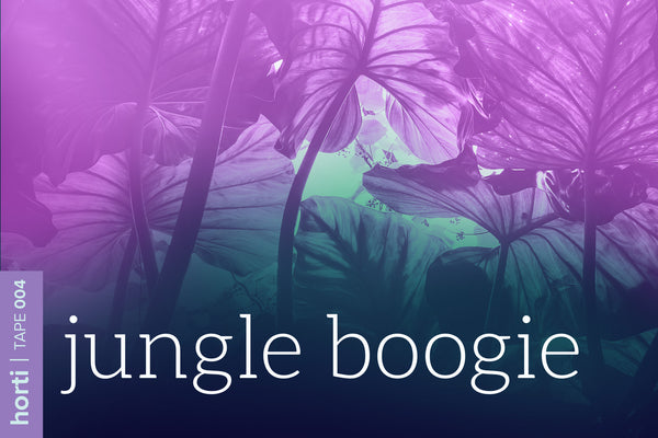 Tape 004: Jungle boogie