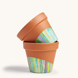 Vibrations Pot