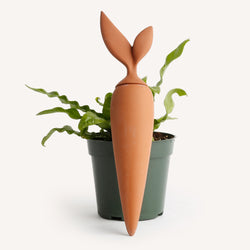 Terracotta Self-Watering Stake