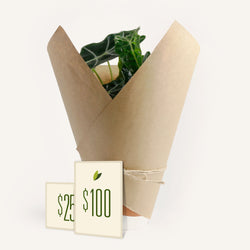 Physical gift card