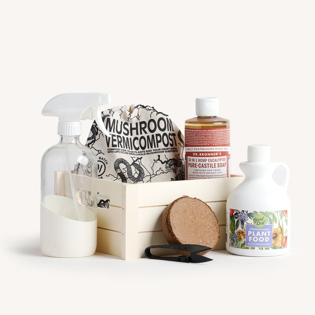 plant soap for indoor plants Horti Plant Care Health Kit