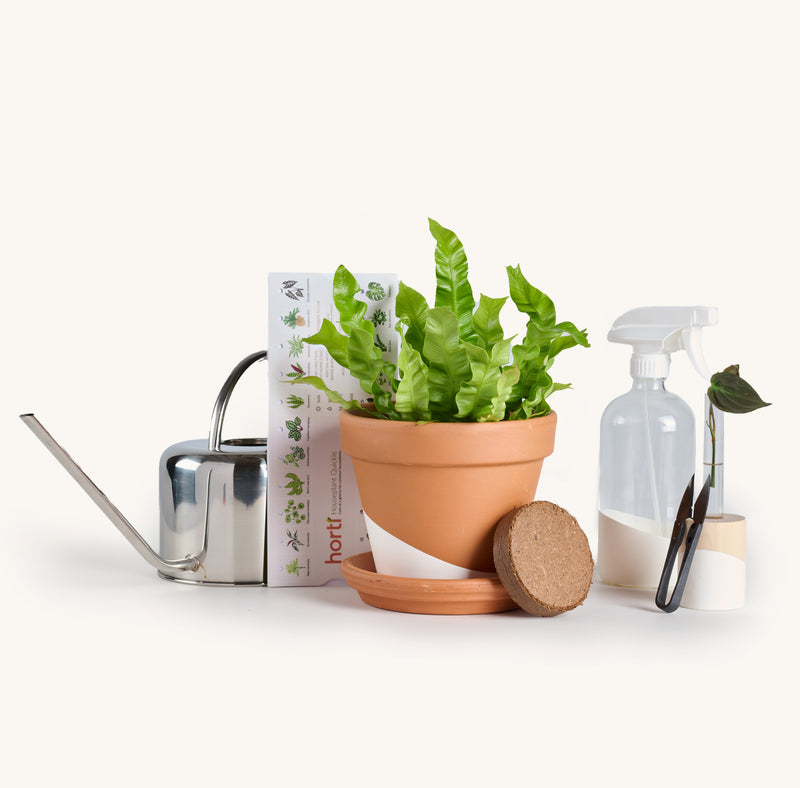 Planting kit corporate gift