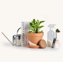 Horti master kit