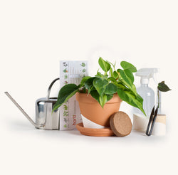 Horti master kit