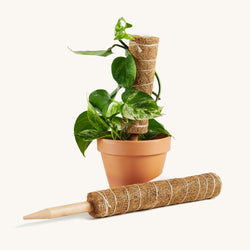 Coco coir poles
