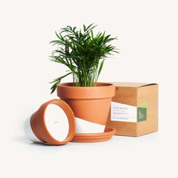 Nice Smelling Kit