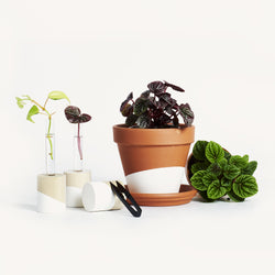 Propagation kit