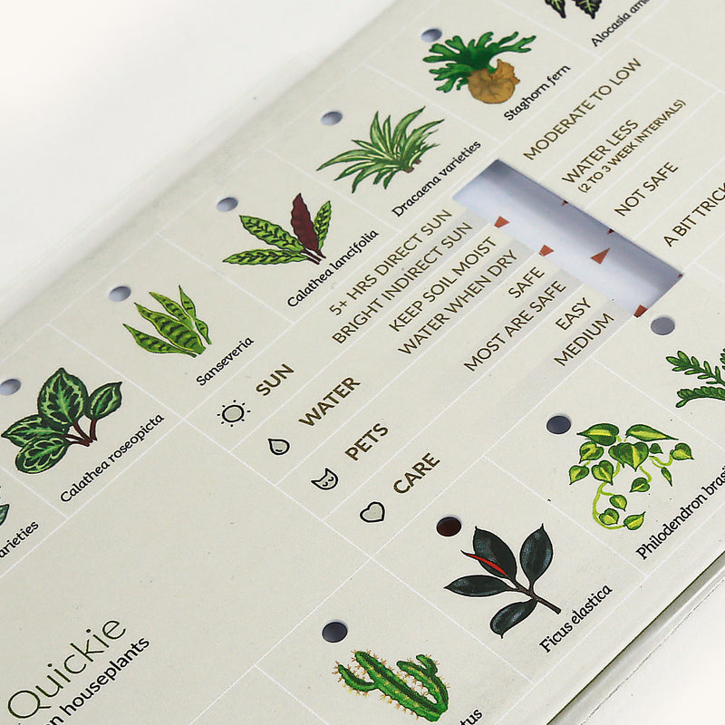 house plant care cards Houseplant Quickie – Horti