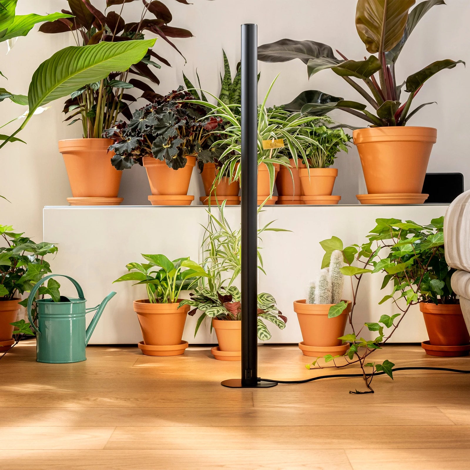 standing grow lights for indoor plants Standing Grow light – Horti